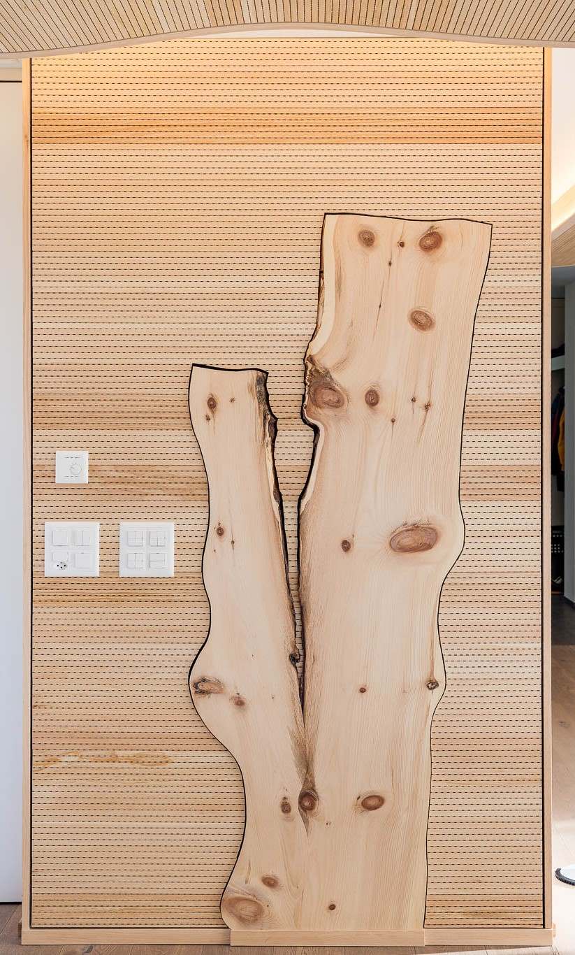 Mondholz – Detail der Weymouthsföhre vor Akustik-Wandelement